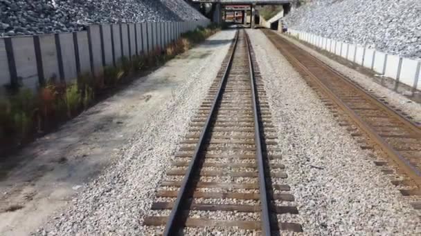 Tren Que Conduce Por Las Vías Del Ferrocarril Rodeado Rocas — Vídeos de Stock