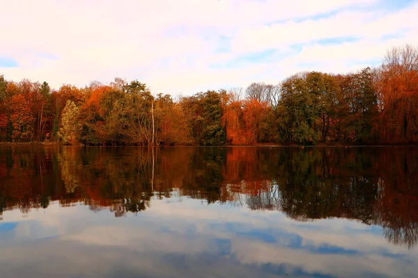 Closeup Shot Autumn Trees Forest Reflected Lake — Stock Photo, Image