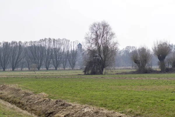 Ein Rasenfeld Mit Ein Paar Dünnen Bäumen Und Einem Burgturm — Stockfoto