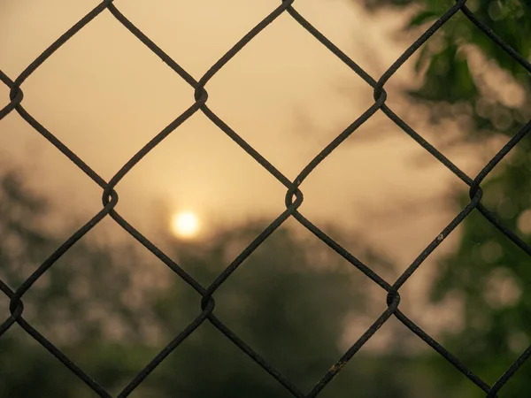 日落时橄榄地背景金属栅栏的选择性拍摄 — 图库照片