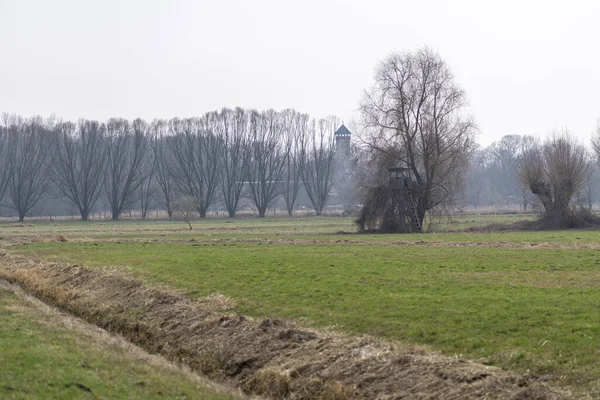 Ein Feld Aus Geschnittenem Gras Mit Bäumen Und Einem Burgturm — Stockfoto