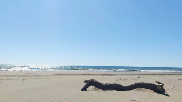 Zlomený Kus Dřeva Ležící Písčité Pláži Pod Jasně Modrou Oblohou — Stock fotografie