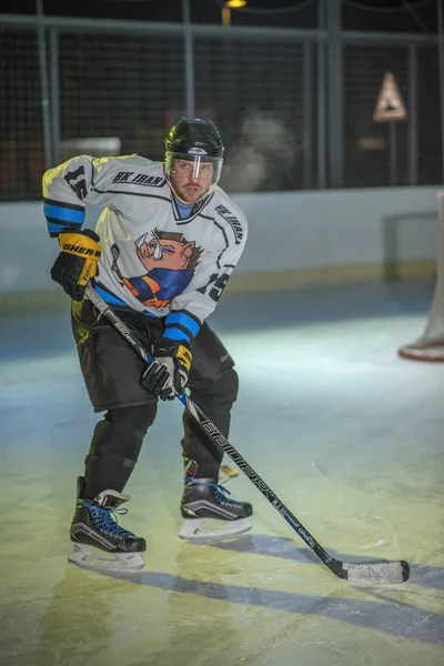 Domzale Eslovenia Febrero 2019 Jugador Profesional Hockey Masculino Durante Drible —  Fotos de Stock