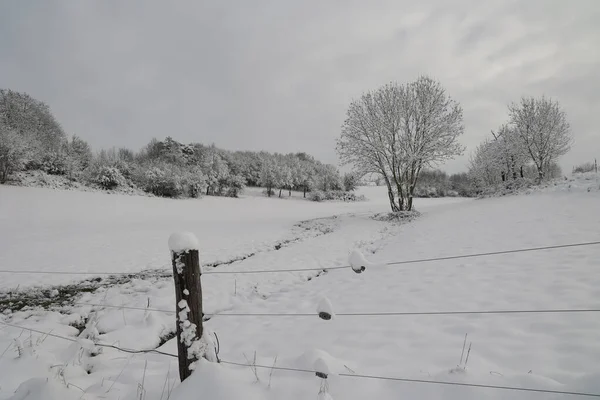 在寒冷的冬日早晨 一幅幅田野和草地被白雪覆盖的照片 — 图库照片