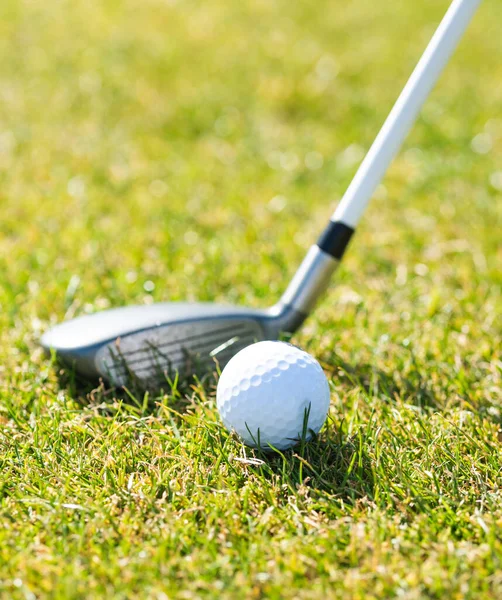Golf Sahasında Golf Topu Sopasının Yakın Çekimi — Stok fotoğraf