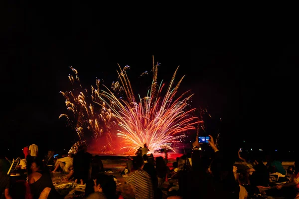 Una Vista Panorámica Fuegos Artificiales Colores Durante Noche —  Fotos de Stock