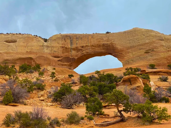 Wilson Arch Mit Pflanzen Vordergrund Unter Bewölktem Himmel Den Usa — Stockfoto