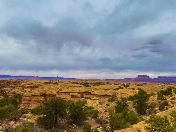 Deserto Amarelo Rochoso Com Plantas Sob Céu Nublado — Fotografia de Stock