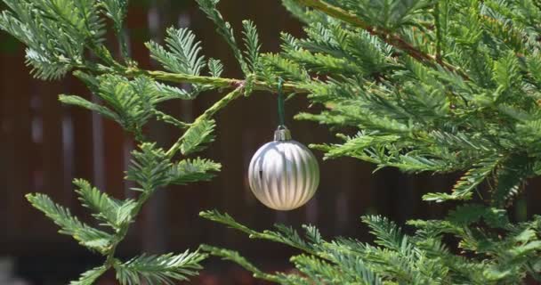 Natal Bauble Decoração Para Celebração Ano Novo Árvore — Vídeo de Stock