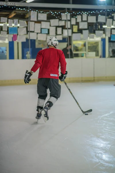 Domzale Eslovenia Febrero 2019 Jugador Profesional Hockey Masculino Durante Drible — Foto de Stock