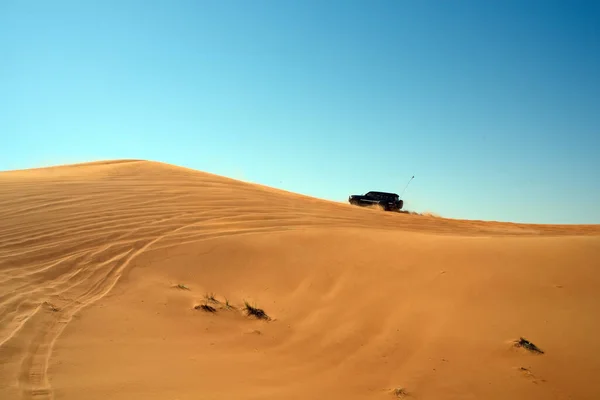 Desert Sharjah United Arab Emirates — Stock Photo, Image