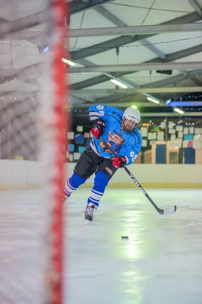 Domzale Eslovenia Febrero 2019 Jugador Profesional Hockey Masculino Durante Drible — Foto de Stock