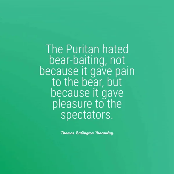 Cytat Thomasa Macaulaya Purytanin Nienawidził Przynęty Niedźwiedzie Nie Dlatego Sprawiał — Zdjęcie stockowe
