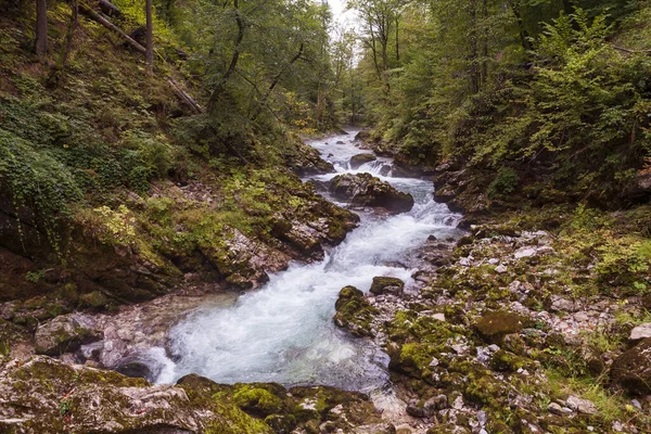 Uma Bela Vista Desfiladeiro Vintgar Zgornje Eslovênia — Fotografia de Stock