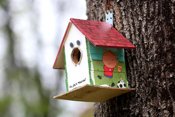 Uma Casa Pássaros Floresta — Fotografia de Stock