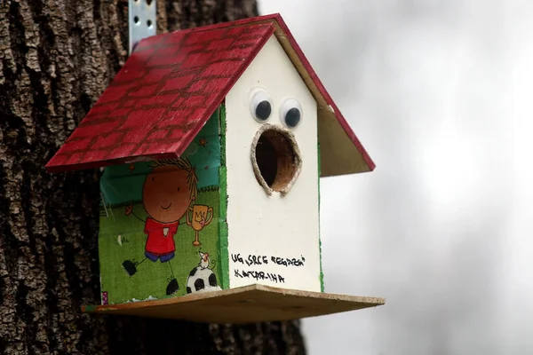 Une Maison Oiseaux Avec Nichoir Bois Arbre Vert — Photo