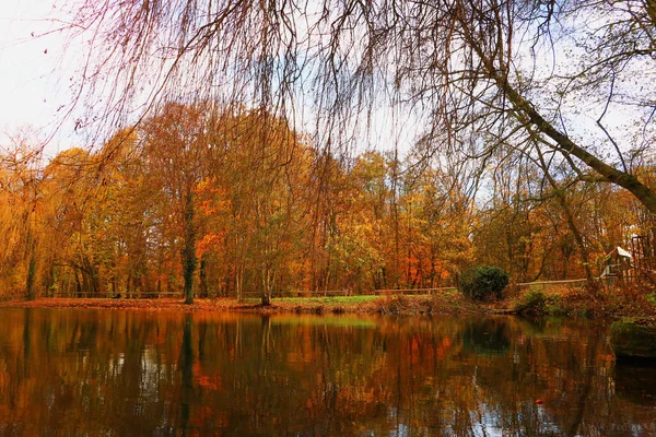 Eine Nahaufnahme Herbstlicher Waldbäume Die Sich See Spiegeln — Stockfoto