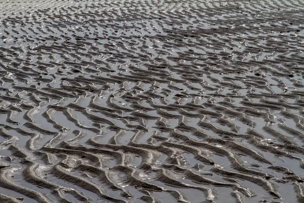 砂浜の泥や砂の質感 — ストック写真
