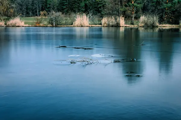 Gros Plan Lac Tranquille Avec Verdure Des Arbres Arrière Plan — Photo