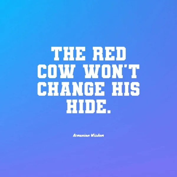 Una Cita Vaca Roja Cambiará Piel Sobre Fondo Azul — Foto de Stock