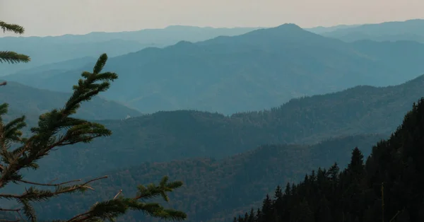 Een Prachtig Shot Van Ceahlau Mountains National Park — Stockfoto