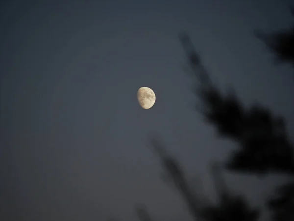夜晚的一轮满月 — 图库照片