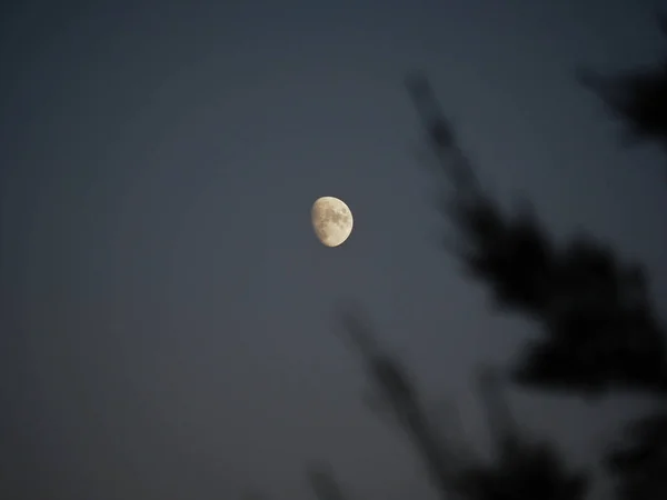 Tiro Lua Cheia Noite — Fotografia de Stock