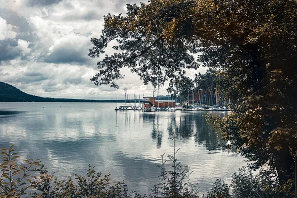 Calm Lake Reflecting Cloudy Sky Tree Branches Foreground — Stock Photo, Image