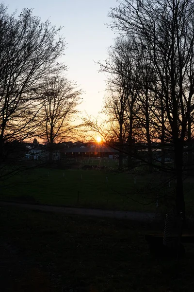 Eine Vertikale Aufnahme Der Untergehenden Sonne Einem Feld — Stockfoto