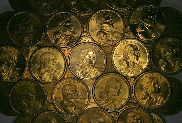 Överblick Över Sacagawea Dollar Mynt — Stockfoto