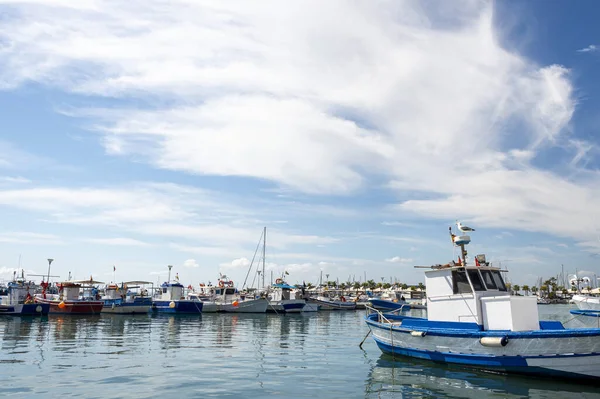 Port Santa Pola Boats Seagulls Sunny Day Spain — Stock Photo, Image