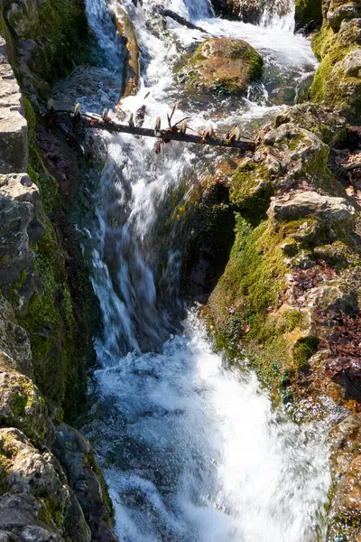 Plan Vertical Une Cascade — Photo