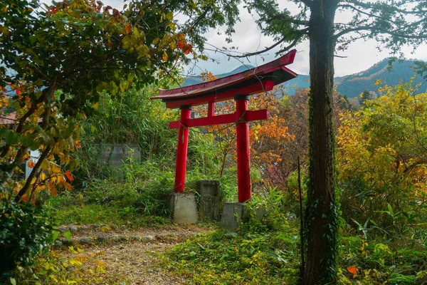 Japonya Suwa Daki Takashima Park Manzaralı Bir Manzara — Stok fotoğraf