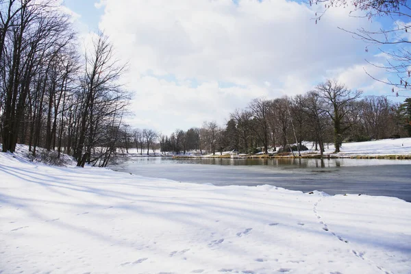 Hiver Dans Parc Stirin Terrain Golf — Photo