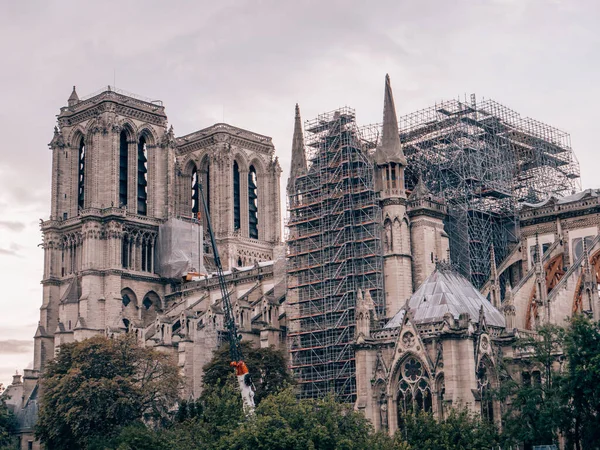 Una Vista Fascinante Una Catedral Notre Dame Paris Francia —  Fotos de Stock