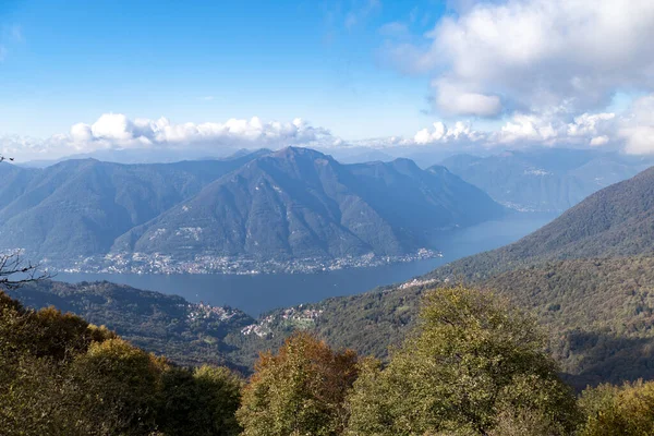 Een Prachtige Opname Van Bergbos Met Een Rivier Omringd Door — Stockfoto