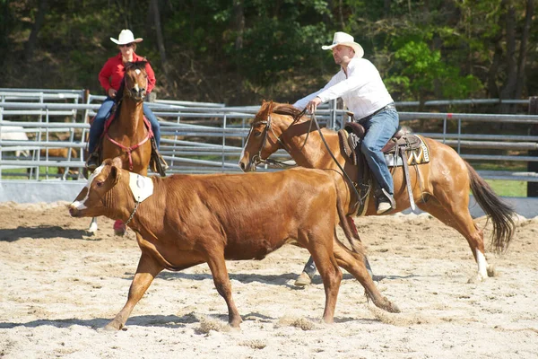 Dnesedig Tschechische Republik 2019 Dnesice Tschechien 2019 Rodeo Auf Dem — Stockfoto