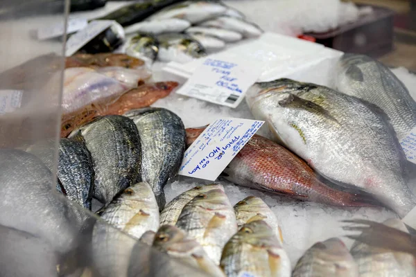 Zagre Croatia Mar 2021 Zbliżenie Wizerunku Ryb Owoców Morza Sprzedaży — Zdjęcie stockowe