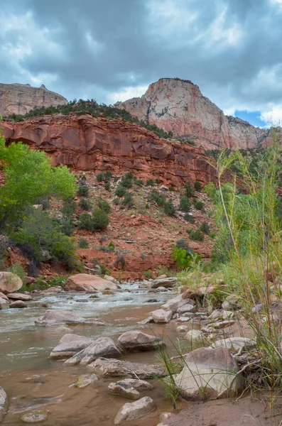 Ett Vackert Landskap Den Berömda Nationalparken Zion Springdale Usa — Stockfoto