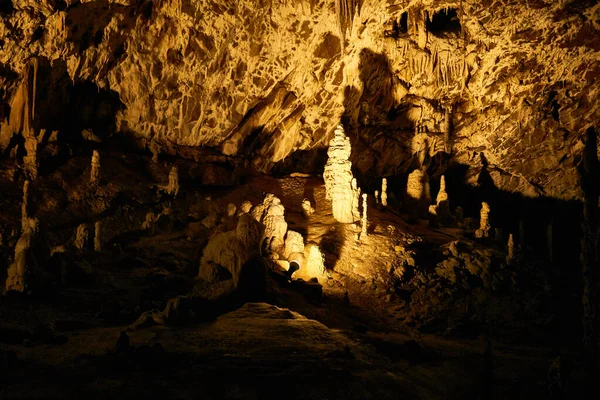 Hırvatistan Hvar Kentindeki Lavanta Tarlaları Mor Renk Kelebekler Kırsal — Stok fotoğraf