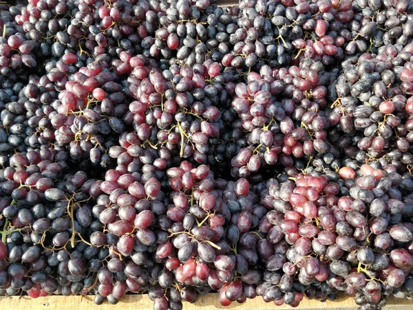 Penutup Anggur Merah Luar Ruangan Mumbai — Stok Foto