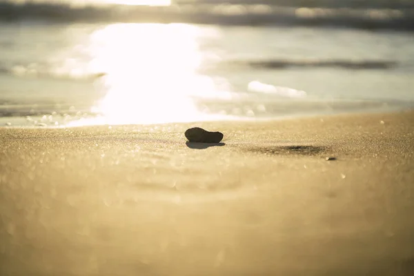 Gros Plan Rocher Sur Sable Par Une Journée Ensoleillée — Photo