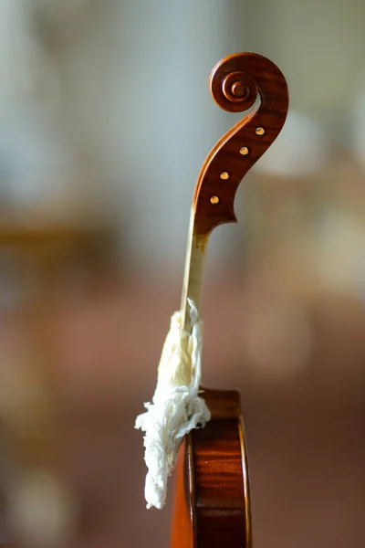 Tiro Vertical Detalhe Violino Oficina Principal — Fotografia de Stock