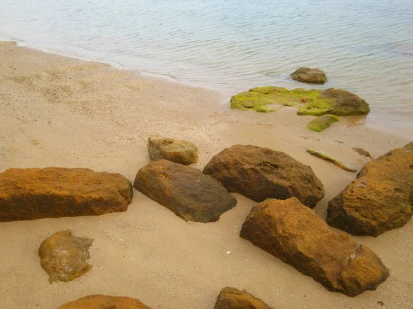 Primer Plano Rocas Una Playa Arena Durante Día — Foto de Stock