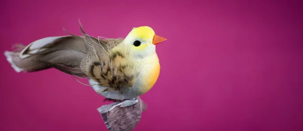 Mor Arka Planda Yapay Bir Kuş — Stok fotoğraf