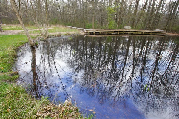 Een Close Van Een Vijver Omgeven Door Landschap Veld Met — Stockfoto