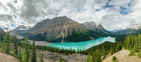 Vacker Natur Peyto Lake Omgiven Klippiga Berg Banff National Park — Stockfoto