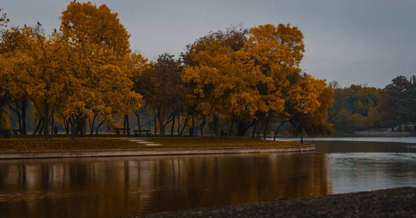 Beau Cliché Arbres Jaunes Long Rivière Par Une Sombre Journée — Photo