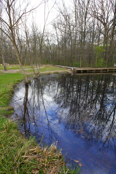 枯山水に囲まれた池の垂直ショット — ストック写真