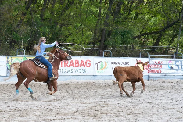 Dnesice Τσεχικη Δημοκρατια Ιουν 2019 Dnesice Τσεχική Δημοκρατία Ιουν 2019 — Φωτογραφία Αρχείου